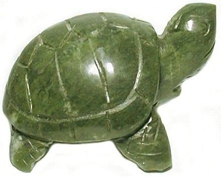  The Journey of the Jade Turtle: A Colombian Folktale Overflowing with Magical Realism and Ancient Wisdom!